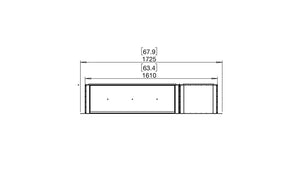 EcoSmart Flex 60SS.BXR Single Sided Fireplace Insert