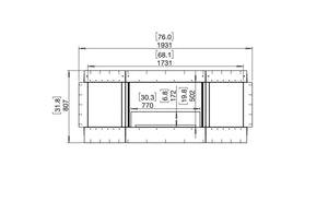 EcoSmart Flex 68SS.BX2 Single Sided Fireplace Insert