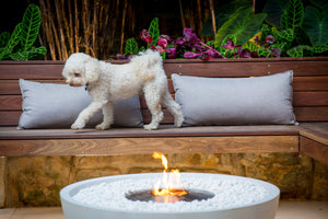 Ecosmart Fire Mix 850 Bioethanol Fire Pit Bowl - ExpertFires